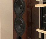 Pair of Tower Speakers / altavoces  x 2