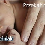 Aufträge Pół kg ulotek na konferencję o żywieniu niemowląt