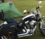 Harley Davidson 1200  sportage