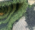 Rolki sztucznej trawy boiskowej x 20